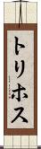 トリホス Scroll