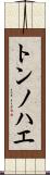 トンノハエ Scroll