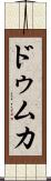 ドゥムカ Scroll