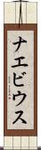 ナエビウス Scroll