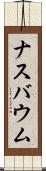 ナスバウム Scroll