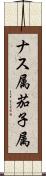 ナス属 Scroll