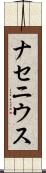 ナセニウス Scroll