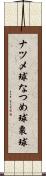 ナツメ球 Scroll