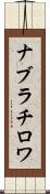 ナブラチロワ Scroll