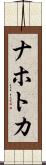 ナホトカ Scroll