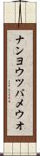 ナンヨウツバメウオ Scroll