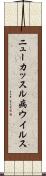 ニューカッスル病ウイルス Scroll
