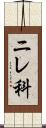 ニレ科 Scroll