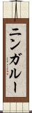 ニンガルー Scroll