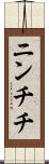 ニンチチ Scroll