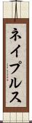 ネイプルス Scroll