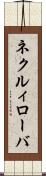 ネクルィローバ Scroll