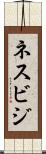 ネスビジ Scroll
