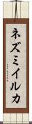 ネズミイルカ Scroll