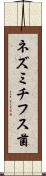 ネズミチフス菌 Scroll