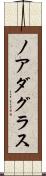 Noah Douglas Scroll