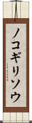 ノコギリソウ Scroll