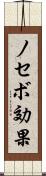 ノセボ効果 Scroll