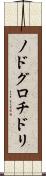 ノドグロチドリ Scroll