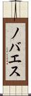 ノバエス Scroll