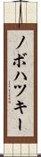 ノボハツキー Scroll