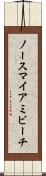 ノースマイアミビーチ Scroll