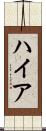 ハイア Scroll
