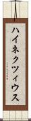 ハイネクツィウス Scroll