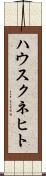 ハウスクネヒト Scroll