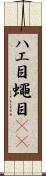 ハエ目 Scroll