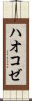 ハオコゼ Scroll