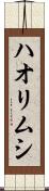 ハオリムシ Scroll