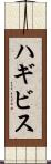 ハギビス Scroll