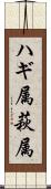 ハギ属 Scroll