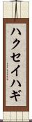 ハクセイハギ Scroll