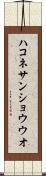 ハコネサンショウウオ Scroll