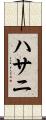 ハサニ Scroll