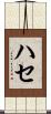 ハセ Scroll
