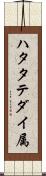 ハタタテダイ属 Scroll