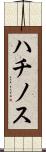 ハチノス Scroll