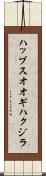 ハッブスオオギハクジラ Scroll