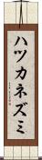 ハツカネズミ Scroll