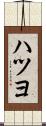 ハツヨ Scroll