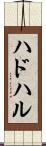 ハドハル Scroll
