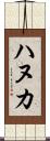 ハヌカ Scroll