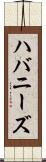 ハバニーズ Scroll