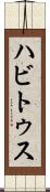 ハビトゥス Scroll
