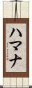 Hamana Scroll