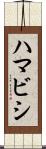 ハマビシ Scroll